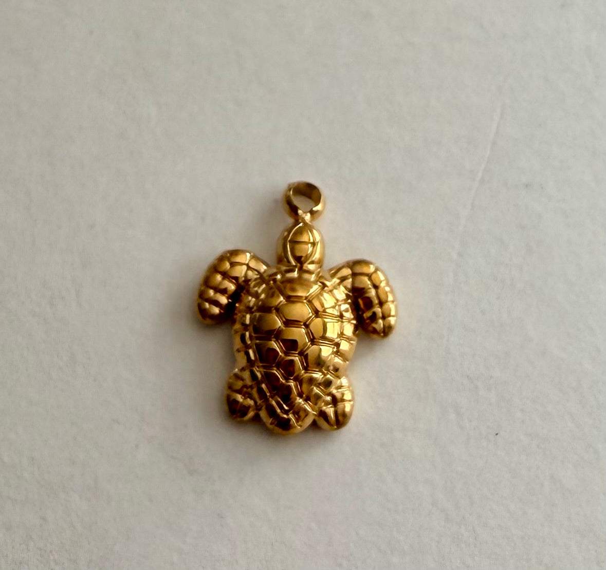 Hawksbill Sea Turtle Charm