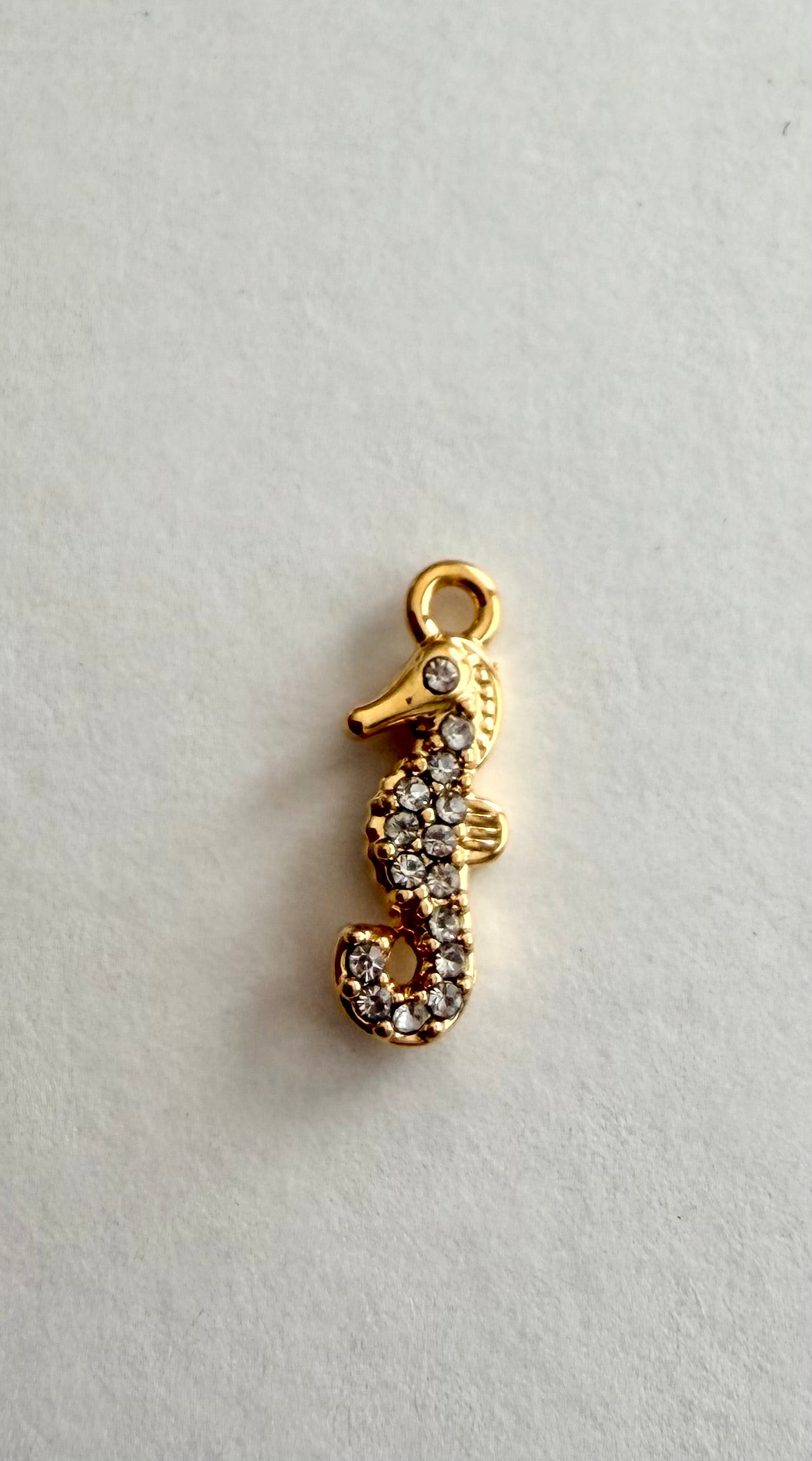 Dwarf Seahorse Charm