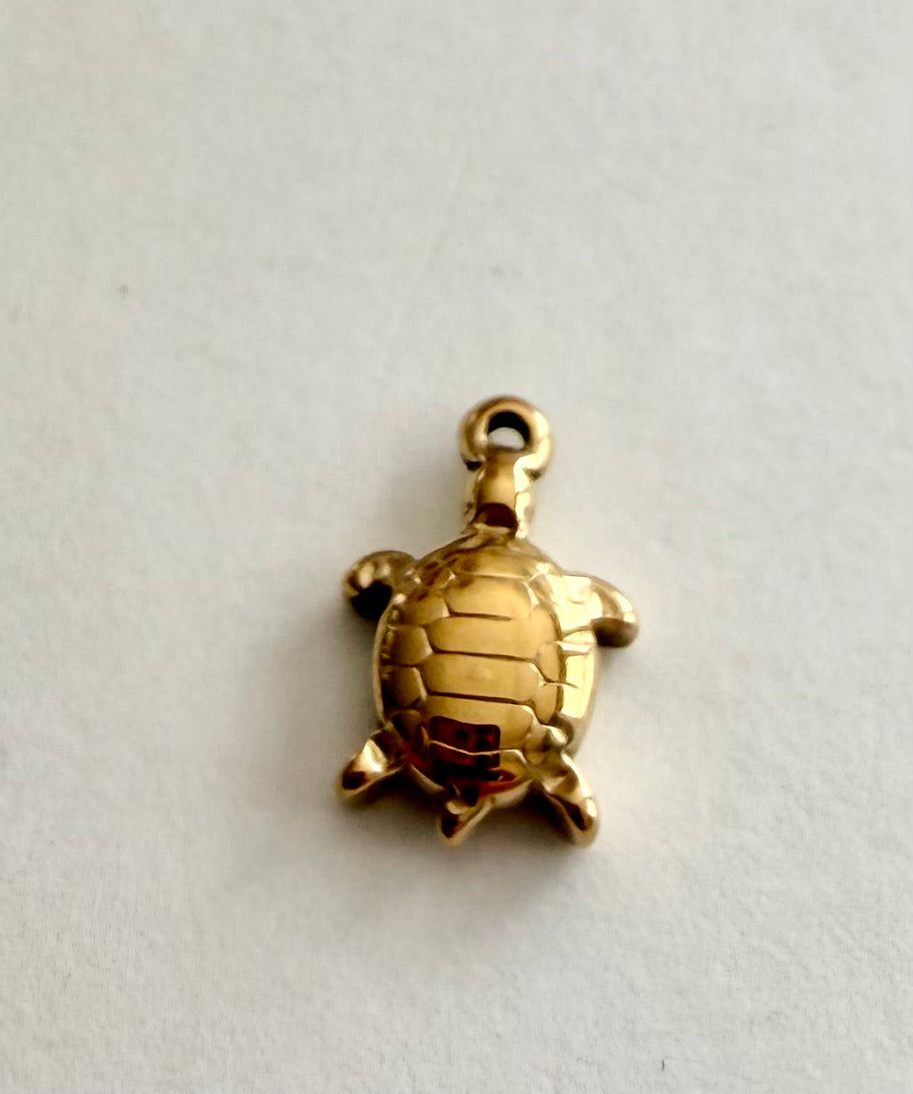 Safari Sea Turtle Charm